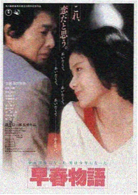 秘密爱 韩国电影海报